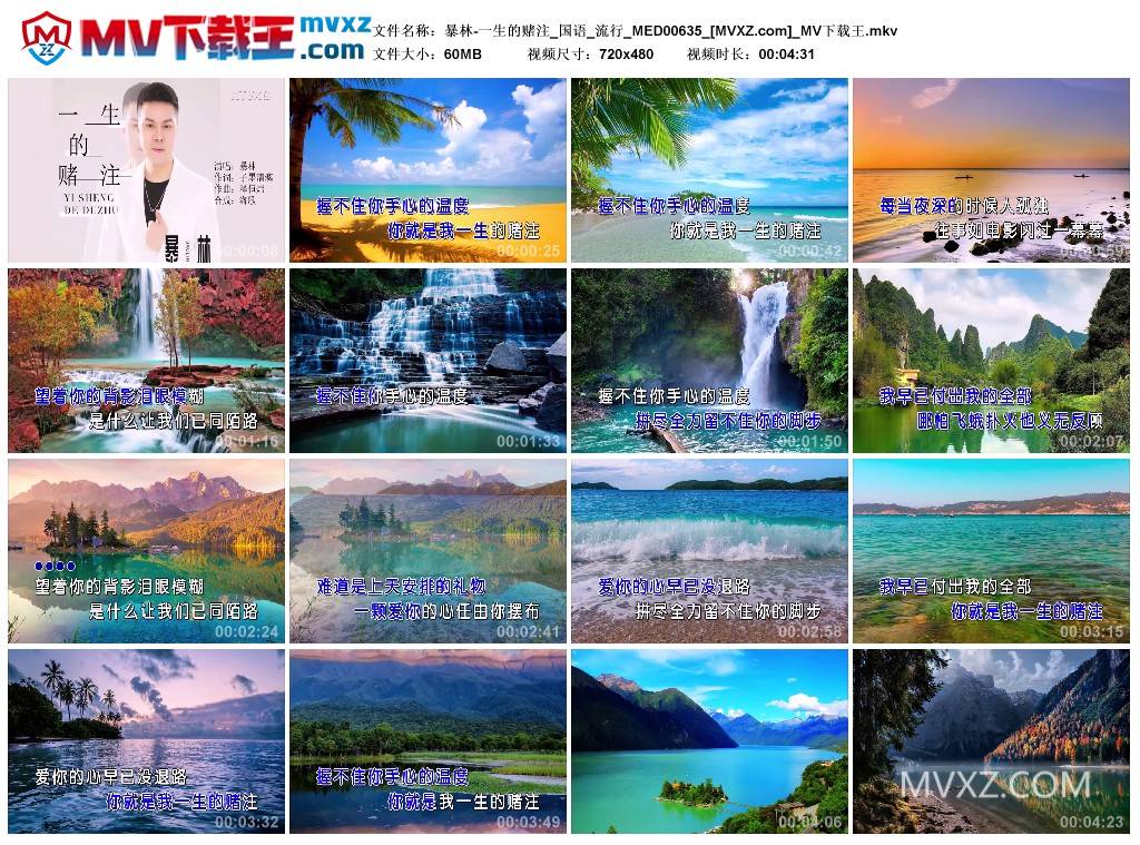 暴林-一生的赌注_国语_流行_MED00635